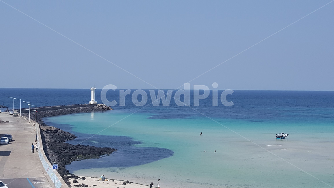 제주도,바다,배경,풍경,봄