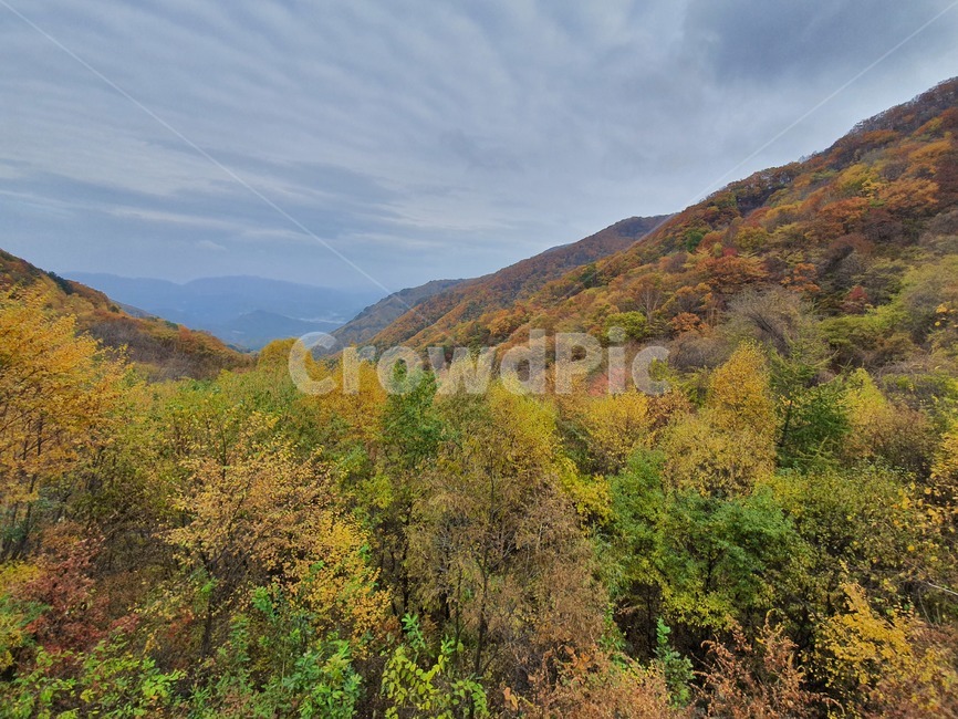 단풍,산,가을산,구름,자연,단풍놀이,단풍구경,자연,풍경,nature,landscape