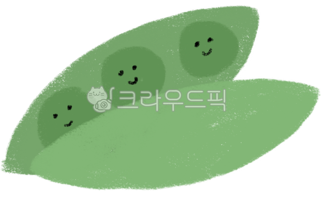 Illustration,hand drawing,vegetable drawing,vegetable illustration,peas,beans,bean pods