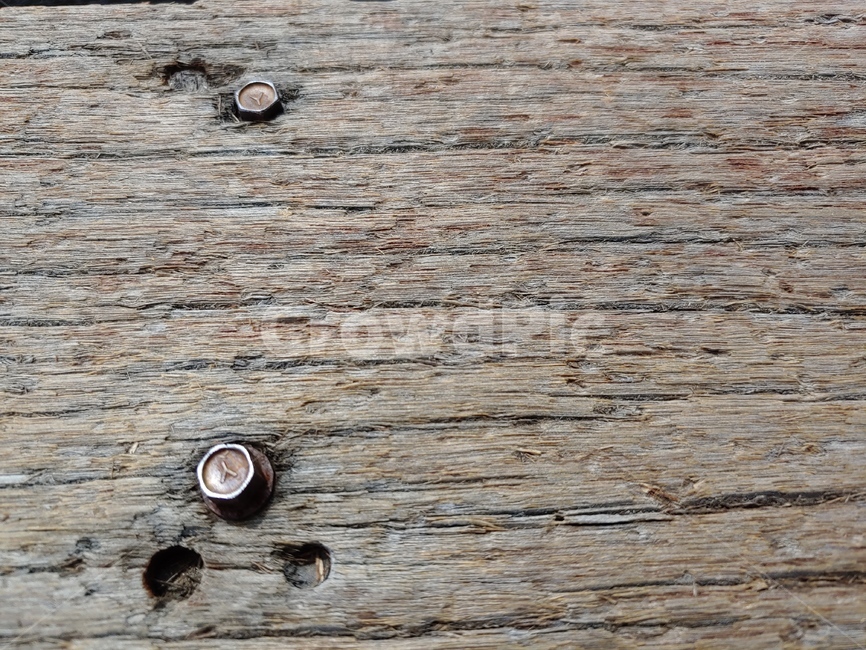나무,나무결,무늬,볼트,데크,pattern,wood,wooden,background,배경,질감,texture