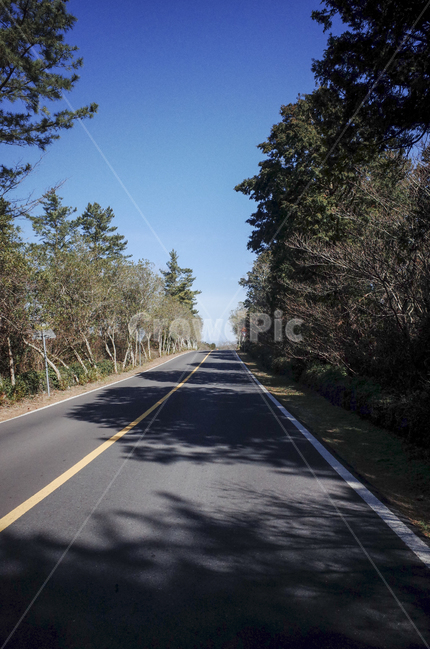 road,도로,asphalt,아스팔트,freeway,highway,고속도로