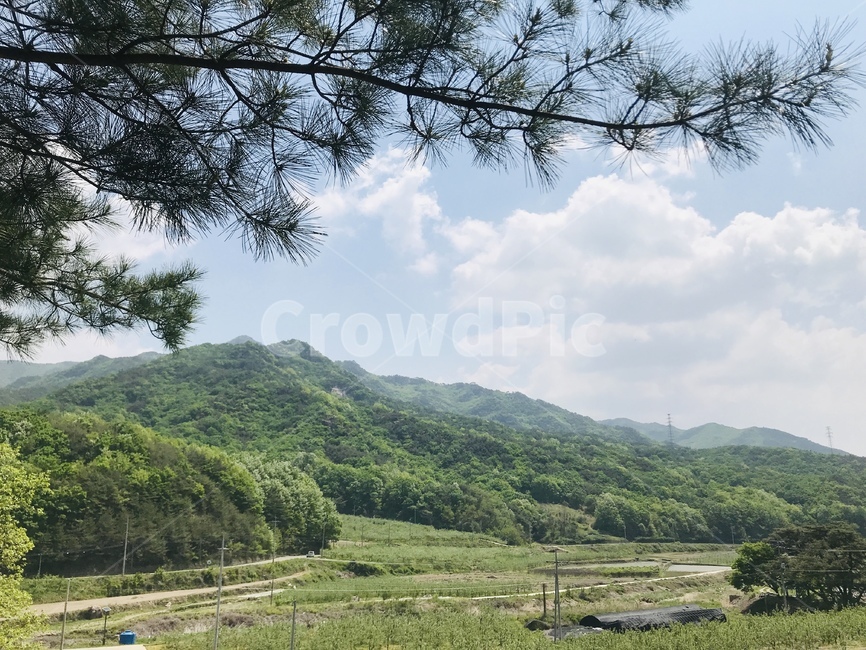 시골,산속,힐링,여유,푸른하늘,초록,녹색,나무,들판,구름,봄,두릅