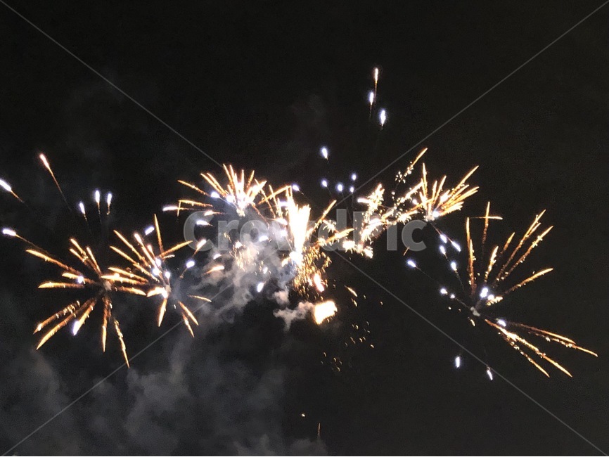 불꽃,축제,대구,밤,불꽃축제,자연,야경,밤,풍경,nightscape,night,landscape