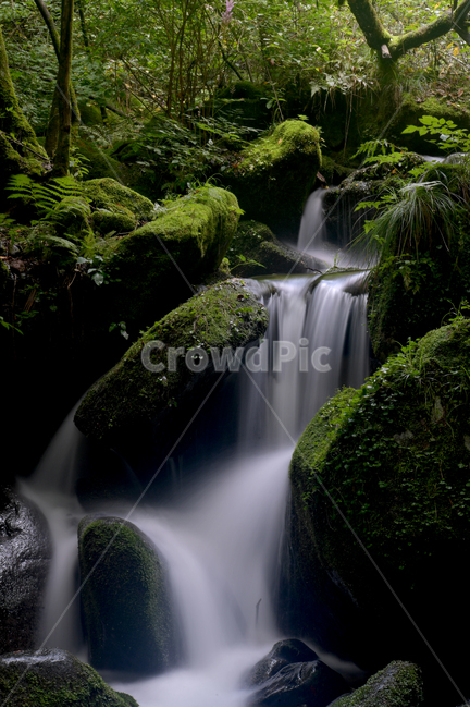 이끼,풍경,폭포,여름,시원,여름,계절,summer,season,자연,풍경,nature,landscape,water,물,outdoors,옥외,river,강,waterfall