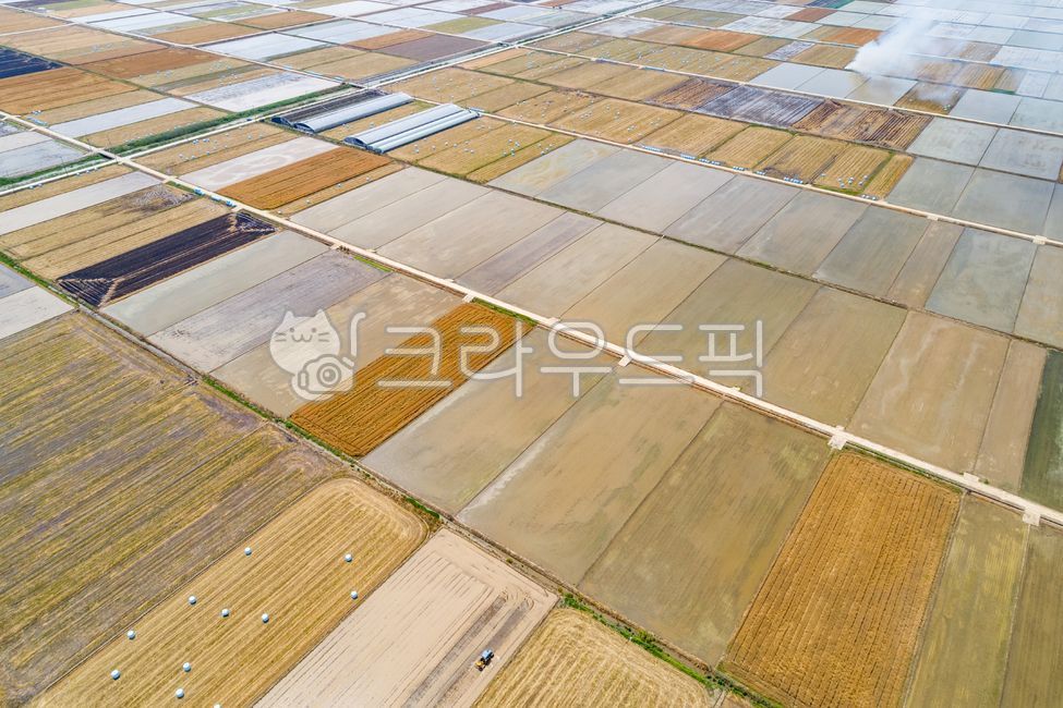 논,물논,논밭,경작지,재배지,봄,농촌,시골,수확,농장,야외,실외,항공촬영,하이앵글,갈색,농업