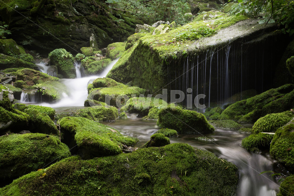 이끼계곡,계곡,이끼,폭포,여름철,여름계곡,여름,계절,summer,season,자연,풍경,nature,landscape,한국자연풍경,한국자연경관,korea nature landscape,plant,식물,moss,water,물,outdoors,옥외