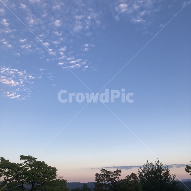 구름,새벽,노을,나무,하늘,산,자연,식물,nature