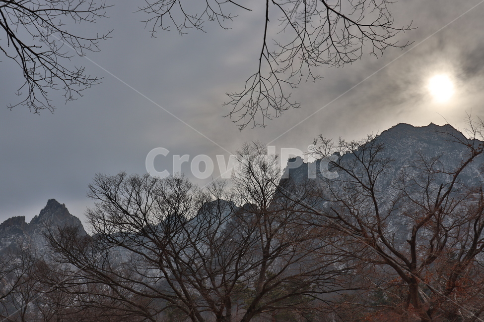 설산,강원도,설악산,겨울산,산