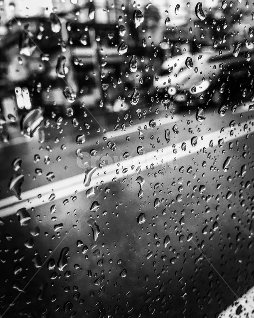 빗방울,비,패턴,질감,흑백,raindrops,rain,pattern,texture,blackandwhite,black,비,비오는날,rain,rainy,흑백,모노톤,monochrome,black and white
