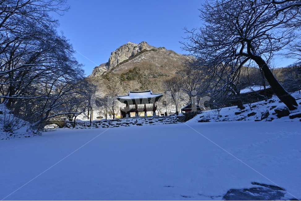 장성,백양사,백양사설경,백양사겨울,백양사연못,백학봉,쌍계루,설경,outdoors,옥외,자연,경치,경관,풍경