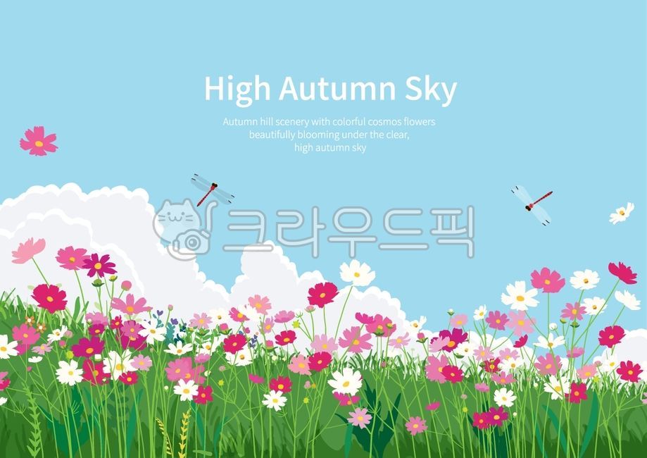 가을,코스모스,꽃밭,언덕,잠자리,동산,산,노을,단풍,가을배경,가을풍경,산책,나무,구름,식물,자연,꽃잎,풀밭,풀,핑크