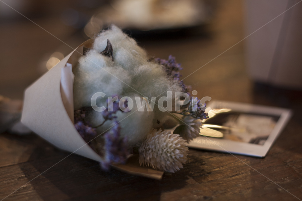 목화,목화꽃다발,추억,폴라로이드,감성,감성사진,꽃다발,flower,cotton,cottonflower,polaroid,즉석사진,remeber,memory,꽃,flower,기념일,축하,anniversary,congratulation,celebrate,celebration