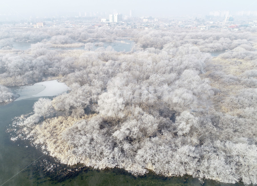 상고대,서리발,겨울,겨울풍경,서리,소양강,눈,나무,겨울,계절,winter,season,자연,풍경,nature,landscape,경치,outdoors,옥외,scenery,aerial view,조감도