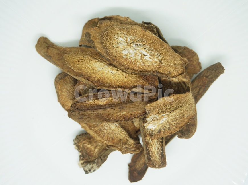 우엉,우엉처,말린우엉,burdock,driedburdock,야채,plant,식물