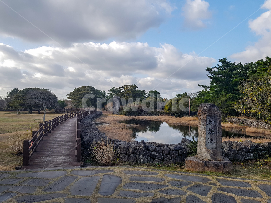 통로,보도,길,나무,비석,하늘,구름