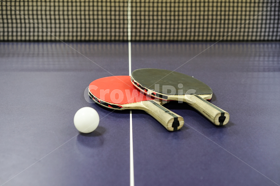 탁구,탁구대,스포츠,탁구라켓,탁구공,tabletennis,스포츠,레저,운동,sports,leisure,exercise,사물,물건,오브젝트,thing,object,matter