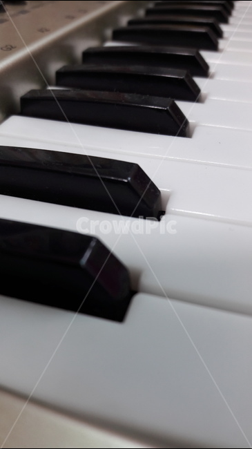 피아노,건반,piano,악기,keyboard,악기,음향기기,musical instrument,musical equipment