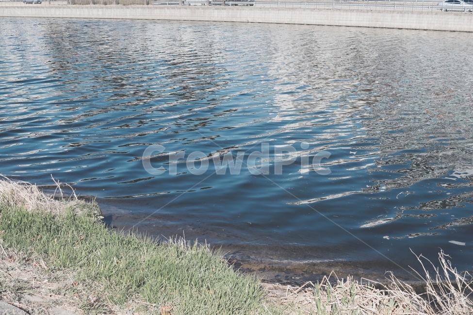강,물결,호수,물,풀,자연,자연,풍경,nature,landscape,water,outdoors,옥외