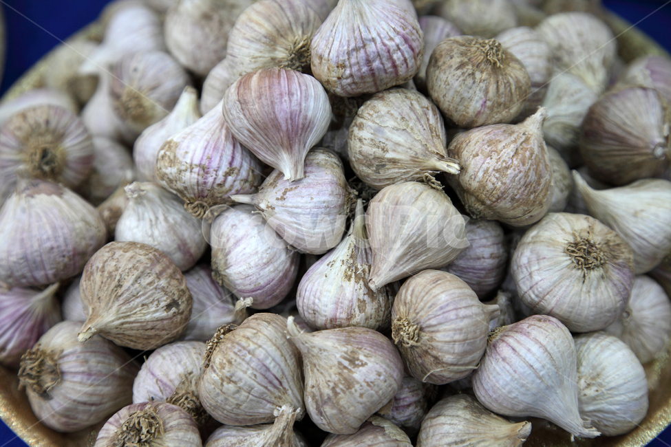 garlic,ingredient,raw garlic,raw,Agricultural products,crops,food,whole garlic,Food Ingredients,ingredients,Garlic,fresh,object