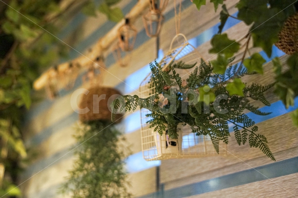 식물,인테리어,실내,카페,분위기,일상,스냅,plant,interior,cafe,mood,snap,식물,자연,plants,nature,인테리어,실내디자인,interior design