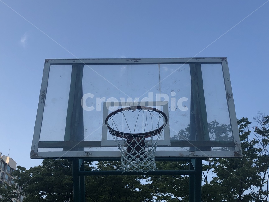 농구,농구골대,골대,골대그물,골대망,농구장