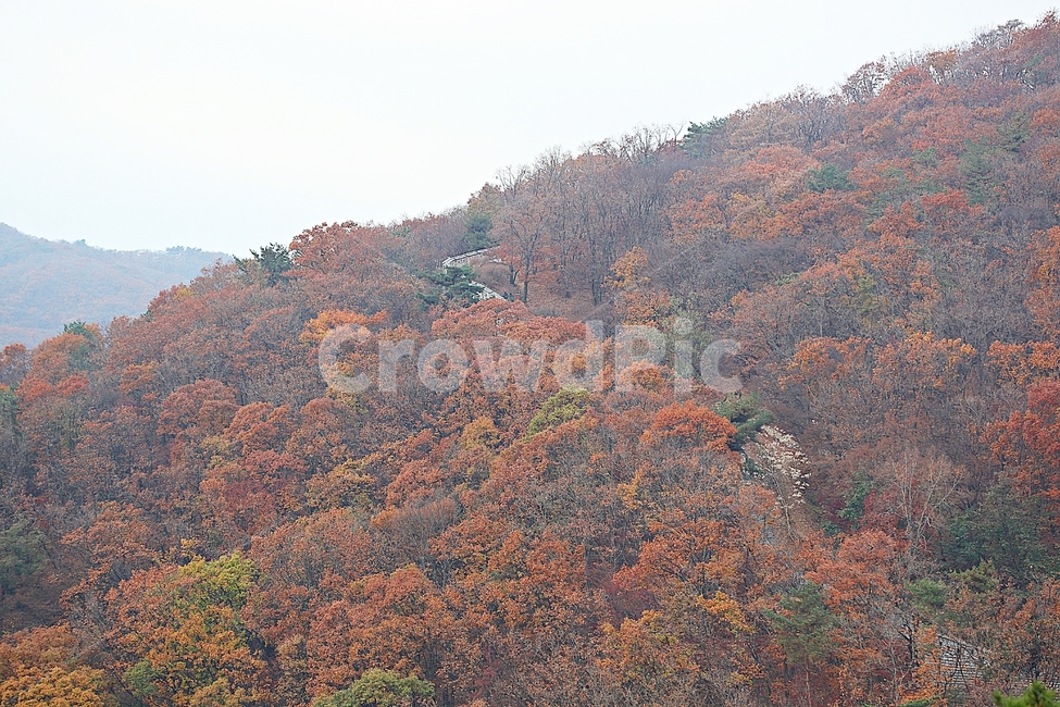 남한산성,성,성곽,단풍,낙엽,길,둘레길,숲,숲길,담,돌담,가을,자연,풍경,벽,울긋불긋,산성,식물,가을,계절,fall,autumn,season,자연,풍경,nature,landscape,outdoors,옥외