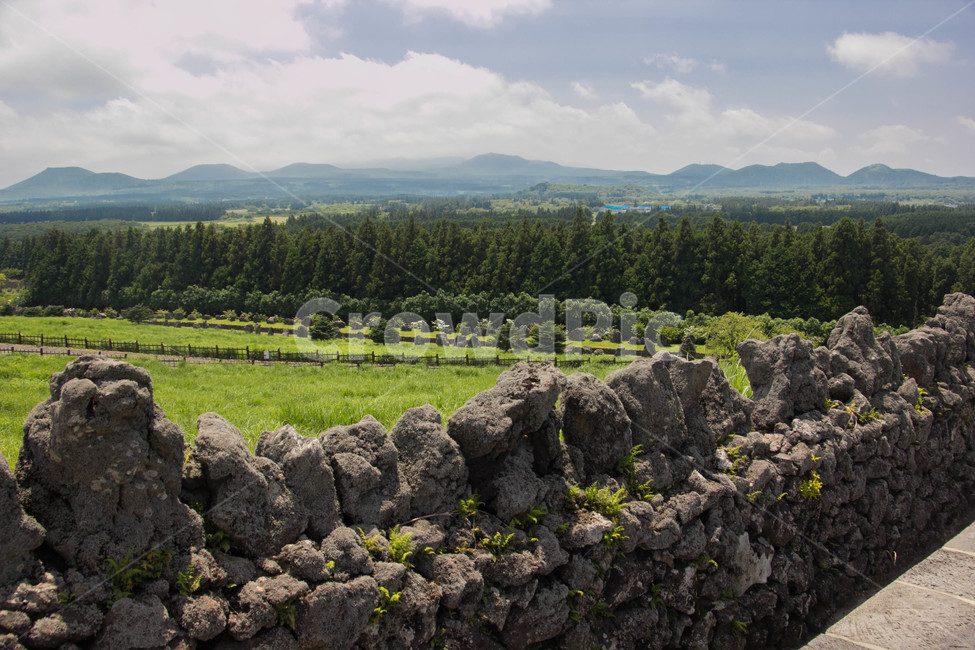 제주풍경,돌담,자연풍경,산굼부리,화창한날씨,자연,풍경,nature,landscape,한국자연풍경,한국자연경관,korea nature landscape,제주도,jeju,jeju island,휴식,힐링,rest,relaxation,healing,ground,바닥,tree,나무,plant,식물,fir,전나무,abies,아비