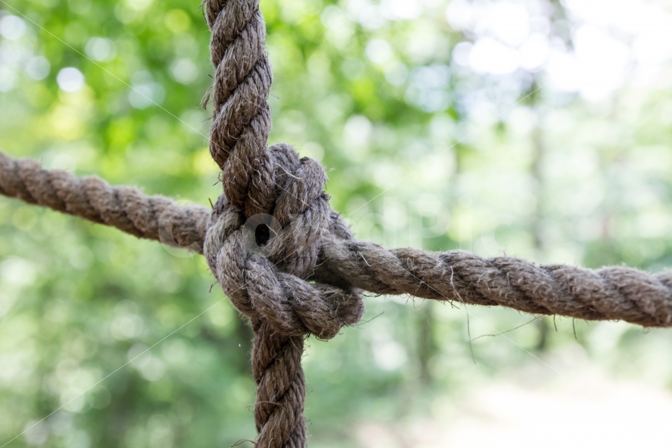 매듭,그물,갇히다,억압,금지,줄,경계,묶이다,사물,물건,오브젝트,thing,object,matter