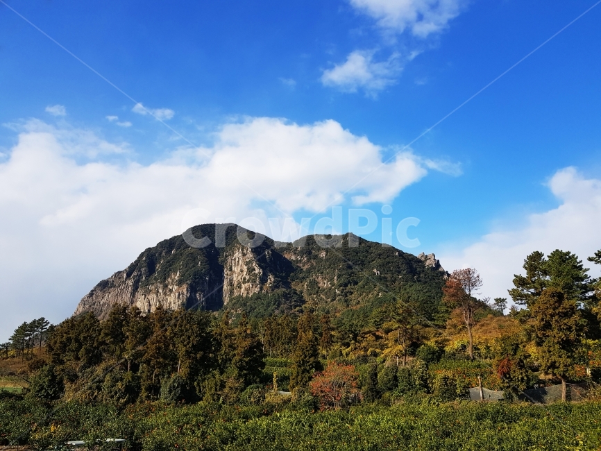 산방산,제주,풍경,자연,산,여행,꽃,서귀포,명승지,하늘,관광,푸른,녹색,랜드마크,나무,구름,제주도,자연,풍경,nature,landscape,한국자연풍경,한국자연경관,korea nature landscape,제주도,jeju,jeju island,outdoors,옥외
