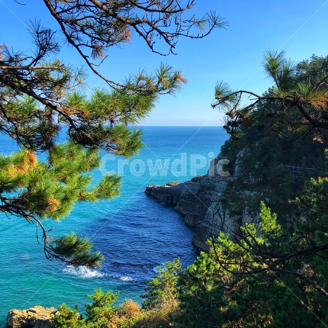 nature,자연,outdoors,옥외,promontory,곶,water,물,ocean,대양,sea,이기대,갈맷길,부산바다,바다,바다뷰,busan,풍경,landscape,자연,풍경,nature,landscape