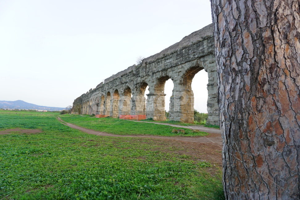 풍경,나무,잔디,다리,수로교,유적지,aqueduct,로마수로교,수도교공원,parcodegliacquedotti,acquedottoclaudio,수도교,해외,외국,세계,world,랜드마크,landmark,tourist attraction,해외,외국,세계,foreign,oversea,world,세계랜드마크,해외랜드마크,외국랜드마크,world landmark,world tourist attraction