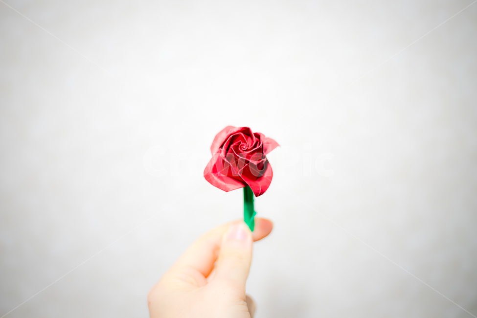 꽃,꽃한송이,장미꽃,종이꽃,장미접기,종이접기,플라워,조화,인테리어,식물,기념일,축하,flower