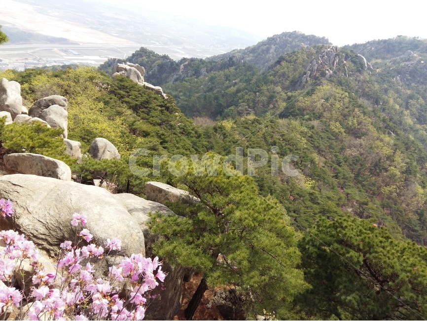 용봉산,충남,봄,바위,햇살,초록,하늘,자연,풍경,nature,landscape,한국자연풍경,한국자연경관,korea nature landscape,outdoors,옥외
