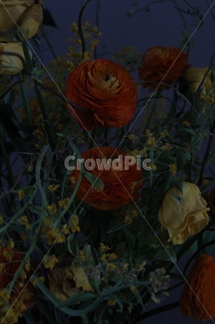 꽃,flower,blossom,장미,수국,나뭇가지,풀,식물,꽃다발,실내,꽃꽃이