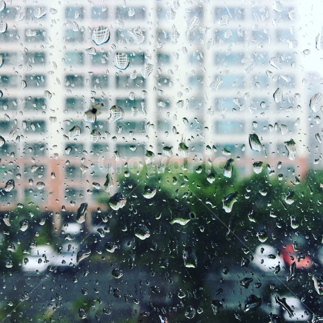 비,비오는날,빗방울,창문,빗소리