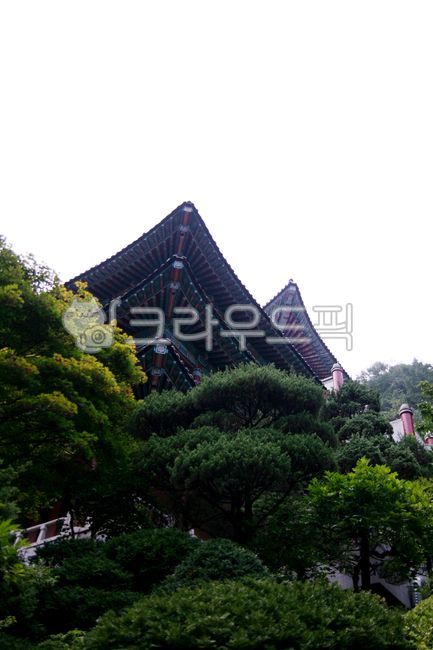 사찰, temple, 불교, buddhism, architecture, 사진,이미지,일러스트,캘리그라피 - lifeupstory작가