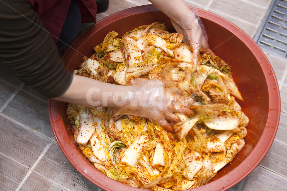 배추,겉절이,김치,김장,김장김치,음식,식재료,요리,food,cook,meal,dishes,food reserves