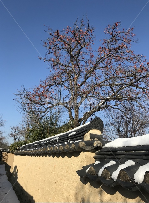 겨울,풍경,자연,배경,한옥,하늘,담벼락,겨울,계절,winter,season,한국전통,한국문화,korean traditional,korean culture,건축물,건물외관,exterior,building,structure,architecture,construction