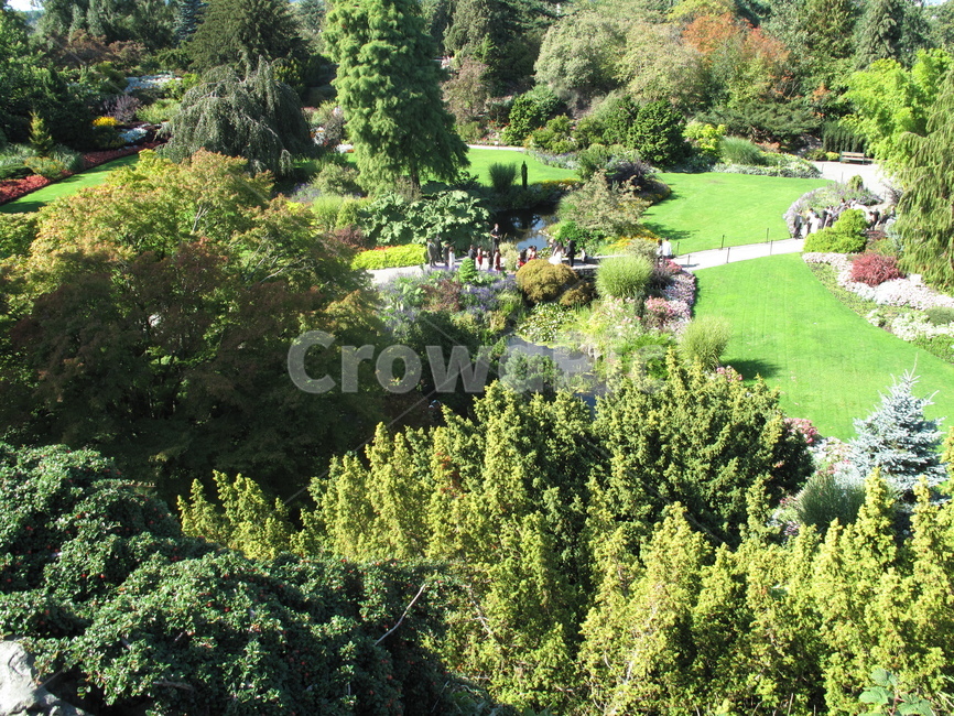 나무,식물,녹색,공원,길,잔디,tree,green,plant,park,canada,wood,nature,vancouver,벤치,캐나다,벤쿠버,퀸엘리자베스공원,qeenelizabethpark