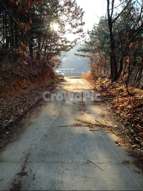 길,도로,산책로,흙길,옥외,자연,path,road,통로,산길