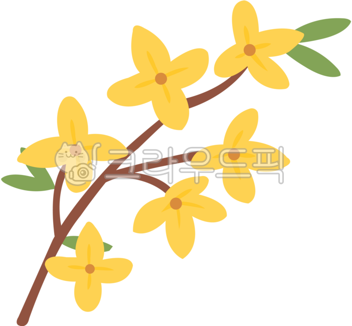 Flowers,flower illustrations,spring flowers,spring flower illustrations,spring,flower drawings,forsythia,yellow flowers,forsythia illustrations