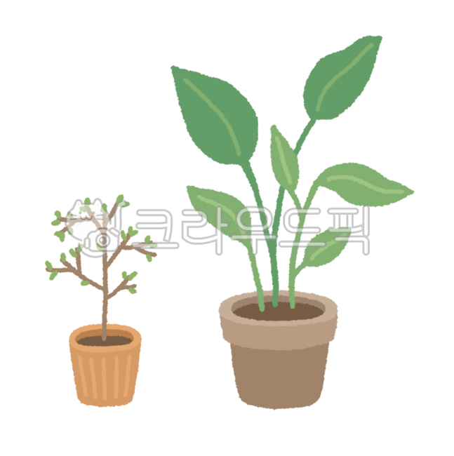 green,nature,hand drawing,tree,leaf,cute plant,summer,Cute illustrations,pot,cute picture,painting,plant illustration,plant,drawing,illustration,flower pot picture,Flowerpot illustration