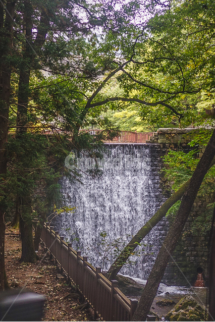 초읍성지곡,나무,물,공원,나뭇잎,choupsungjigok,tree,water,park,자연,풍경,nature,landscape,river,강,outdoors,옥외