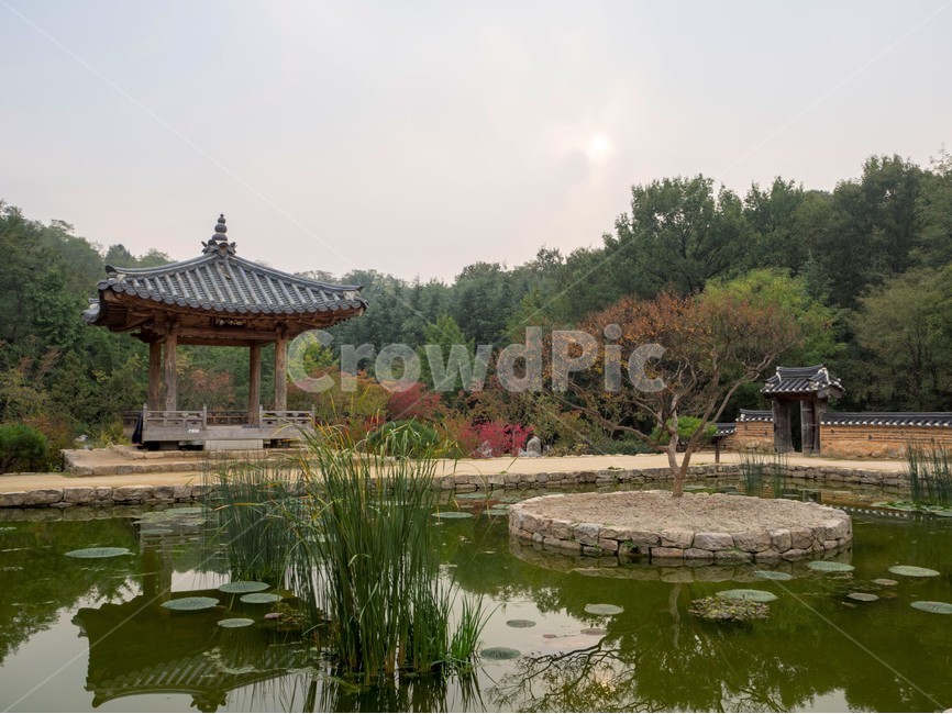 수목원,botanicalgarden,대구수목원,대곡수목원,자연,nature,연꽃,방지원도,정자,정목수,자연,풍경,nature,landscape,한국전통,한국문화,korean traditional,korean culture,건축물,건물외관,exterior,building,structure,architecture,construction,outdoors,옥외,water,물
