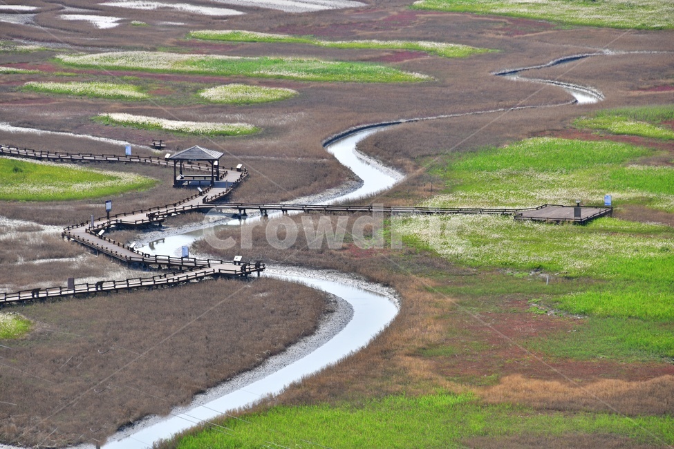 전남,신안,증도,증도물길,물길,정자,길,삐비꽃,태평염전,landscape,경치,scenery,풍경,nature,자연,outdoors,옥외,water,물