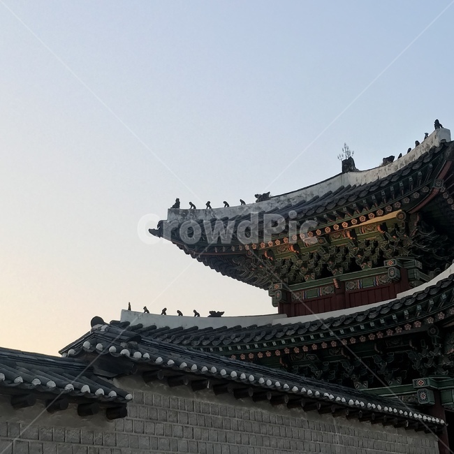 서울,한옥,종로,궁,하늘