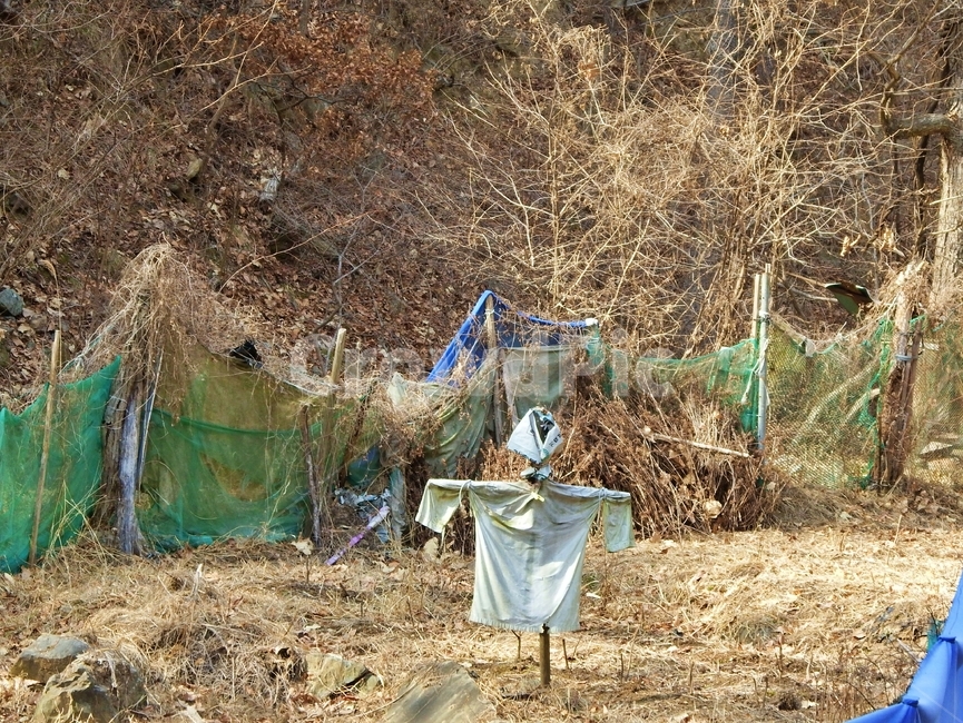 허수아비,산책,산행,뒷산,텃밭