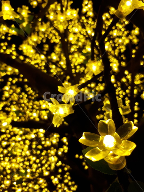 빛,꽃,light,나무,밤,전구,배경,조형물