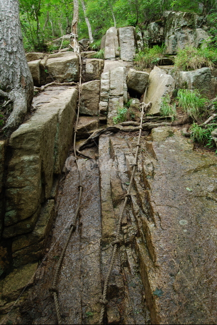 구왕봉,괴산,한국,등산로,자연,자연,풍경,nature,landscape,plant,식물