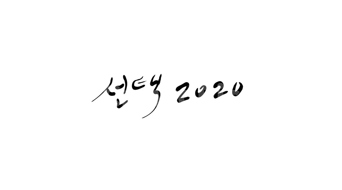 총선,2020,선거,투표,정치,국회의원